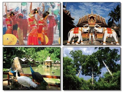 游西雙版納，領(lǐng)略南國(guó)風(fēng)情